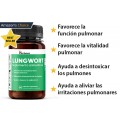 Herboxa Lungwort | Suplemento para la salud pulmonar Herboxa Lungwort | Suplemento para la salud pulmonar