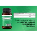 Herboxa Lungwort | Suplemento para la salud pulmonar Herboxa Lungwort | Suplemento para la salud pulmonar