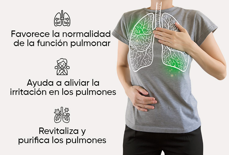 Herboxa Lungwort | Suplemento para la salud pulmonar