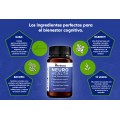 Herboxa Neuro Health | Brain & Focus Formula Herboxa Neuro Health | Brain & Focus Formula